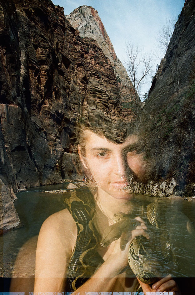 Photograph